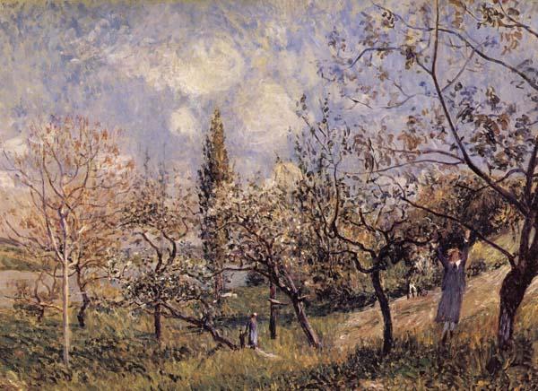 Alfred Sisley Orchard in Sping-By